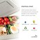 LunchBots Small Snack Packer Bento Box  Extra Small Divided Stainless Steel Snack Container  2 Compartments for Fruits Vegetables and Finger Foods  Dishwasher Safe  Stainless Lid