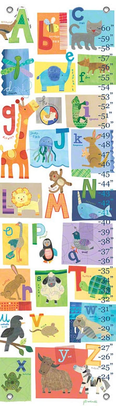 Oopsy Daisy A Z Animals by Jill McDonald Growth Charts 12 by 42Inch