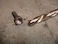 Century Drill  Tool 74107 Left Hand DrillSplint Point Tips Precise Drilling