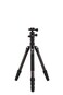 Benro Tripster Travel TripodMonopod  2 Series Black CF FTR28CB1GBLK