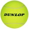 Dunlop Sports 5 Large Tennis BallT306340