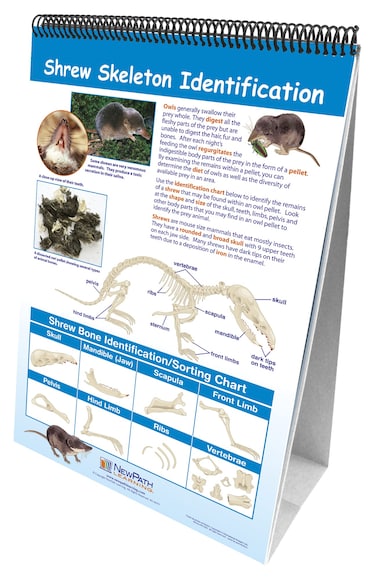 NewPath Learning  346015 10 Piece Science Owls and Owl Pellets Curriculum Mastery Flip Chart Set Grade 59