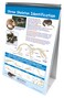 NewPath Learning  346015 10 Piece Science Owls and Owl Pellets Curriculum Mastery Flip Chart Set Grade 59