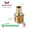 Water Armor USA 34 Inch MNPT x 34 Inch PEX Adapter LeadFree Brass  Stress Corrosion Cracking Resistant Plumbing Fitting  PEX to PEX PlumbingTubingPipe ConnectionsPEX Fittings  5 Pack