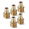 Water Armor USA 34 Inch MNPT x 34 Inch PEX Adapter LeadFree Brass  Stress Corrosion Cracking Resistant Plumbing Fitting  PEX to PEX PlumbingTubingPipe ConnectionsPEX Fittings  5 Pack
