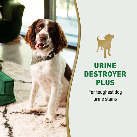 Natures Miracle Urine Destroyer Plus for Dogs Enzymatic Formula for Severe Dog Urine Stains 1 gal
