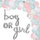 Gender Reveal Balloon Garland Arch Kit 115 Pieces  Pink Blue and Silver Party Supplies  Boy or Girl Decorations by Julri Boutique