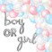 Gender Reveal Balloon Garland Arch Kit 115 Pieces  Pink Blue and Silver Party Supplies  Boy or Girl Decorations by Julri Boutique