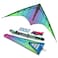 Jazz 20 Dualline Sport Kite Electric Ready to Fly with Flying Lines Wrist Straps Winder Instructions and Storage Bag