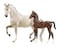 Breyer Traditional Series Favory Airiella Gift Set  2 Horse Set  Horse Toy Model  19 Scale  Model 1827 White