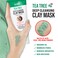 KISS New York Tea Tree Deep Cleansing Clay Mask Korean Skin Care Minimizes Pores Absorbs Oil NonIrritating Removes Impurities 423 oz 1 PACK