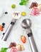 Tyzine Solid Stainless Steel Ice Cream Scoop Fruits Scoop with Trigger Stainless SteelEasy to UseConvenient Fast and DurablePerfect for Frozen Yogurt Gelatos Sundaes