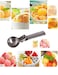 Tyzine Solid Stainless Steel Ice Cream Scoop Fruits Scoop with Trigger Stainless SteelEasy to UseConvenient Fast and DurablePerfect for Frozen Yogurt Gelatos Sundaes