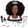 Naturalistas Dayna Deluxe Crown and Curls Fashion Styling Head 3C Textured Hair 19 Accessories Designed and Developed by Purpose Toys