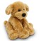 Fluffuns Puppy Dog Stuffed Animals 9 Inches Stuffed Dog Plush Toys  Dog Stuffed Animals for Kids Golden