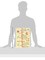 The Kids Room by Stupell Vertical Playroom Rules Rectangle Wall Plaque