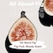 skybottle Daily Moisturizing Body Lotion Perfumed with Fig Fruit Woody Scent Fast Absorbing Lightweight and Extra Hydrating Cream for Dry Skin for Women  Men 101 Fl Oz