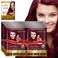 Herbishh Hair Color Shampoo  Natural Dye for Gray Hair with Argan Mask Travel Size LongLasting Tint in Minutes 101 Pack AmmoniaFree Wine Red