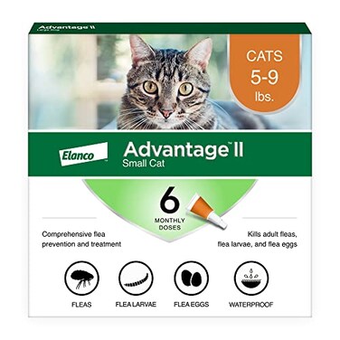 Advantage II Small Cat VetRecommended Flea Treatment  Prevention  Cats 59 lbs  6Month Supply