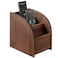 SunGreen 3Slot Rustic Burnt Wood Remote Control Holder Media Organizer