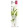 Radius  Toothbrush Replacement Heads for Source Tour Toothbrushes Premium BristlesSoftPack of 2