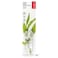 Radius  Toothbrush Replacement Heads for Source Tour Toothbrushes Premium BristlesSoftPack of 2