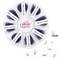 Volume Lash Extensions 1000pcs Premade Fans Eyelash Extensions Promades Eyelash Loose Fans Pointed Base 5D8D10D12D14D16D 916mm1520mm Mixed Tray Avalible 12D007C 916mm