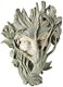 Design Toscano Bashful Wood Sprite Tree Face Mystic Decor Wall Sculpture 9 Wx5 Dx13 H Two Tone Stone