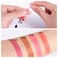 PASNOWFU Tattoo Lipstick 20 Pcs Tattoo Lipstick cotton swab Cotton Swab Lipstick Velvet Matte Tattoo Lip Stain Portable Rose red