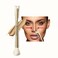 4TH COMMAND Nose Contour UShaped Makeup Brush for Sculpting and Defining the Nose 2in1 Precision Duo Contour Brush Perfect For Contouring the Nose Viral Soft Innovative DualEnd Gold Brush