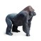 Safari Ltd Silverback Gorilla Figurine  Realistic 625 Figure  Educational Toy for Boys Girls and Kids Ages 1