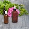 BRIGHTFROM Twist Top Applicator Bottles 8 OZ Amber Squeeze Empty Round Plastic Bottles BPAFree PET Refillable OpenClose Nozzle Black  Multi Purpose Pack of 2