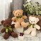 DOLDOA Cute Teddy Bear Stuffed Animal Soft Plush Bear Toy for Kids Boys Girlsas a Gift for BirthdayChristmasValentines Day 98 inch 3 Packs3 Colors