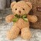 DOLDOA Cute Teddy Bear Stuffed Animal Soft Plush Bear Toy for Kids Boys Girlsas a Gift for BirthdayChristmasValentines Day 98 inch 3 Packs3 Colors