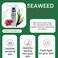 Advanced Seaweed Collagen Cream  Sea Moss RadianceBoosting  RednessReducing Face Moisturizer  OilControl Mattifying Formula  Soothing  Calming Face Cream for Brighter Skin  for Women  Men