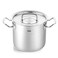 Fissler OriginalProfi Collection Stainless Steel 55 Quart Tall Stock Pot with Metal Lid