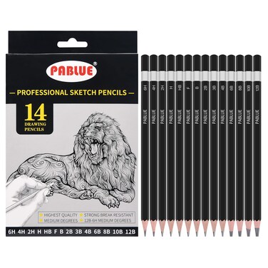 PABLUE Professional Triangular Drawing Sketching Pencil Set6H4H2HHHBFB2B3B4B6B8B10B12B Graphite Shading Pencils for BeginnersProArtistsDrawingDraftingSketchingShading14 Pcs