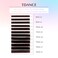 TDANCE Colorful lashes extension C Curl 007mm Thickness Semi Permanent Individual Eyelash Extensions Silk Volume Lashes Professional Salon Use Mixed 815mm Length In One Tray BrownC007815mm