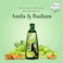 Nihar Naturals Shanti Badam Amla Hair Oil 500ml