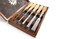 Narex Richter Bevel Edge Chisel Set of 5