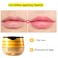 2PCS Lip Balm Honey PotPropolis Moisturizing Honey Lip Mask Lip BalmHydrating  Prevention Dry and Cracked Lip Scrubs Exfoliator