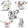 Cow Cookie Cutter Set  5 Piece Stainless Steel FarmFarmhouse Animal Cookie Cutters Shapes Milk Bottle Longhorn Bull Cow Head CowSteer Face Cutters Molds for Making Cookies Biscuit Fondant