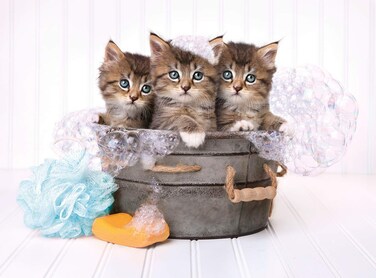Clementoni Kittens and Soap Jigsaw Puzzle Collection 500 Pieces