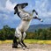 Breyer Freedom Series Classics American Dreams  Rearing Mustang  Model Horse Toy  9 x 7  112 Scale Classics  Model 62203