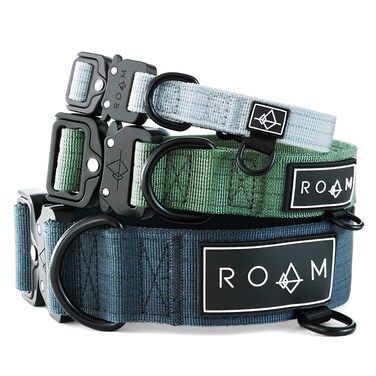 Made to ROAM Premium Dog Collar  Adjustable Heavy Duty Nylon Collar with QuickRelease Metal Buckle Oregon Haze Classic Size 2