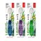 RADIUS Tour Travel Brush  Case with Replaceable Brush Head ADA Accepted Toothbrush Improve Gum Health  Purple Orange Red  Pack of 3
