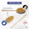 Yerba Prima Tampico Skin Brush Pack of 1  Natural Vegetable Fiber Bristles for Dry Skin Brushing