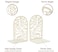 CNK Book Ends Premium BookEnds for Bookend Shelves Book Stopper Metal Book Ends for Home Office Heavy Books Book Shelf Holder Home Decorative Book Stoppers Book Holder Rose White