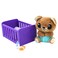 Tiny Tukkins Mini Mystery 3 Pack of Playsets  Collect All 6 playsets with Baby Plush Characters and Accessories Adorable Nurture Play for Your Toddler or Child