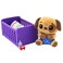 Tiny Tukkins Mini Mystery 3 Pack of Playsets  Collect All 6 playsets with Baby Plush Characters and Accessories Adorable Nurture Play for Your Toddler or Child